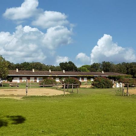 Хостел Residential Horse Club Costa Brava Санта-Кристина-де-Аро Номер фото