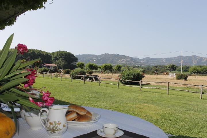 Хостел Residential Horse Club Costa Brava Санта-Кристина-де-Аро Номер фото